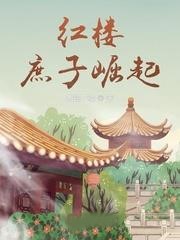 紅樓:庶子崛起
