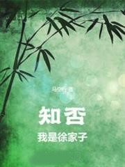 知否:我是徐家子