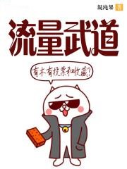 流量武道