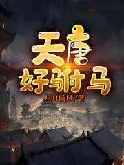 天唐好駙馬