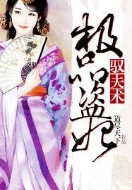 極品盜妃馭夫術