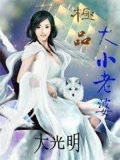 極品大小老婆系統