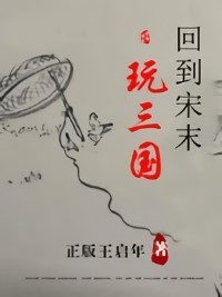 回到宋末玩三國