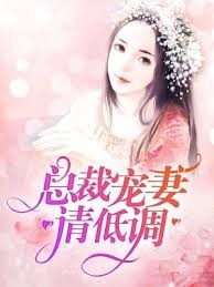 總裁寵妻請低調