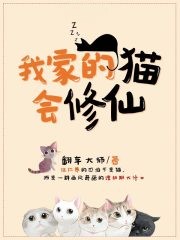 我家的貓會修仙