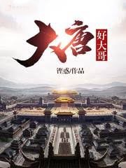 大唐好大哥
