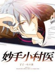 妙手小村醫