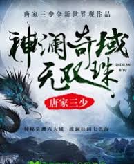 神瀾奇域無雙珠