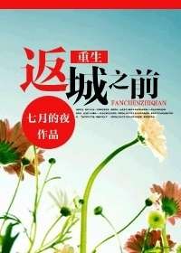 重生返城之前