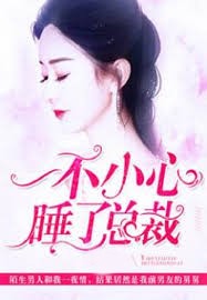 一不小心睡了總裁