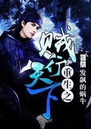 重生之賊行天下