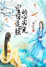 皇后是朕的心尖寵