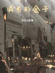 消失的金子