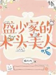 盛少家的木頭美人