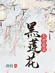 ����Ƕ��ɏ��