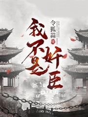 我不是奸臣