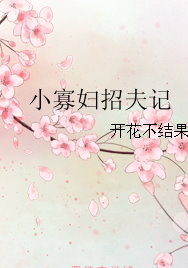 小寡婦招夫記