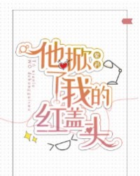 他掀了我的紅蓋頭